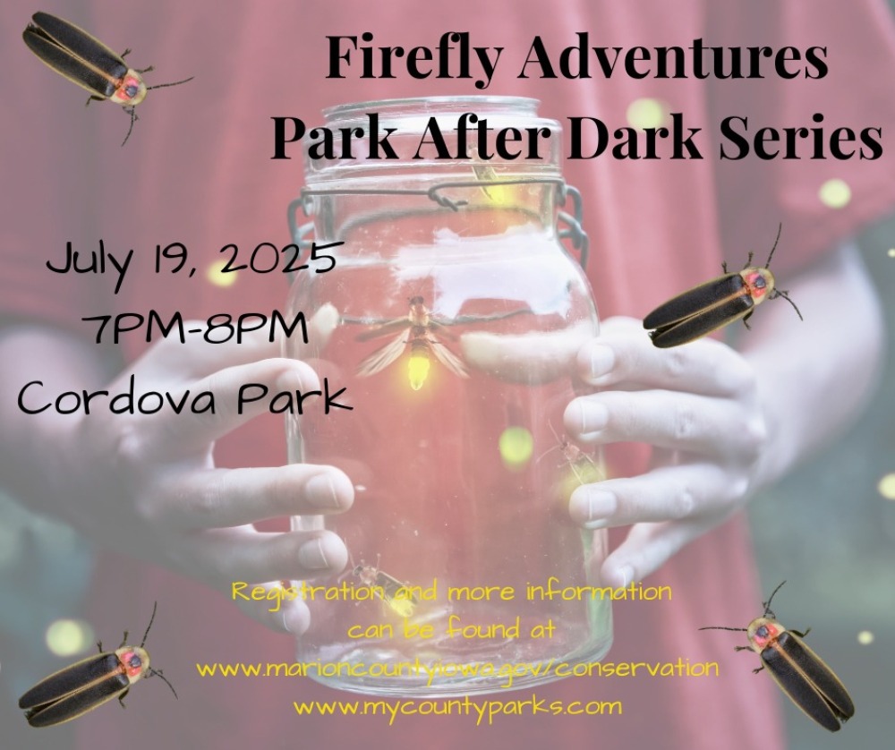 Firefly Adventures- Park After Dark Series photo