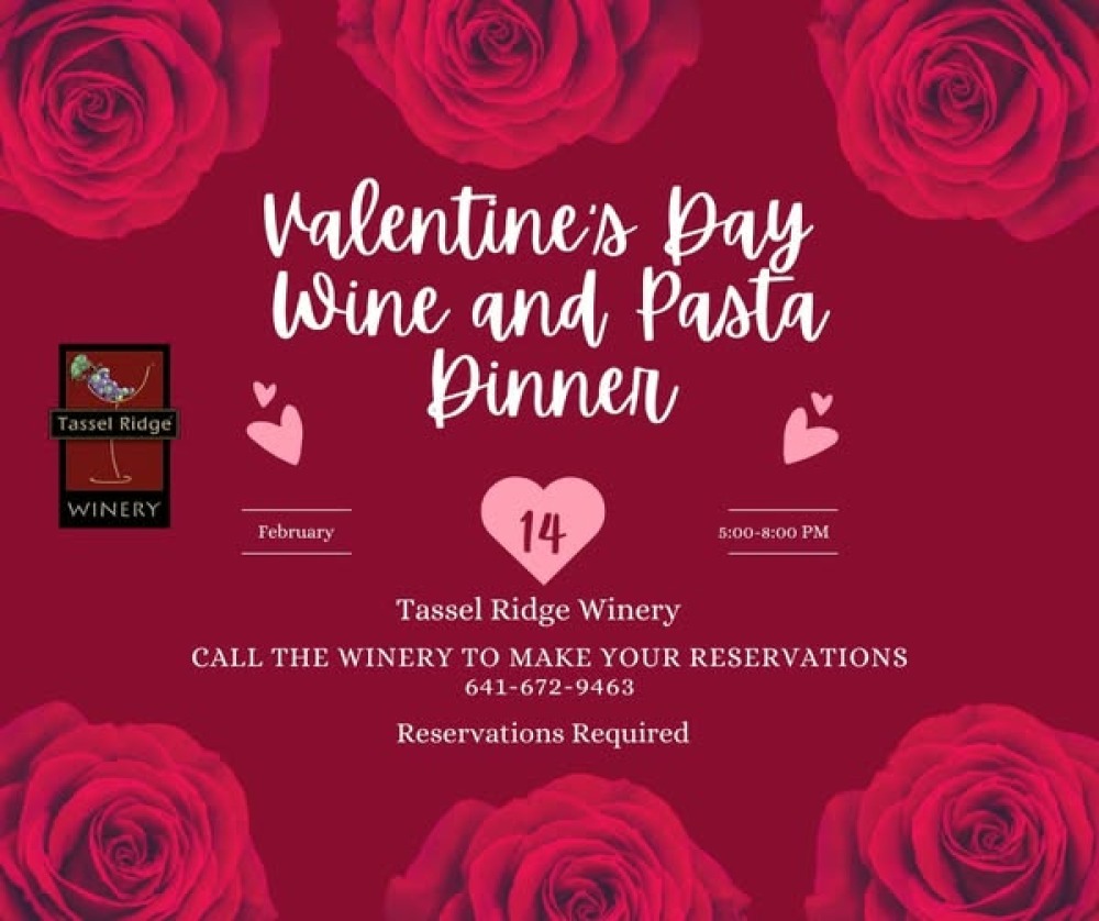 Valentine's Day Wine & Pasta Night photo