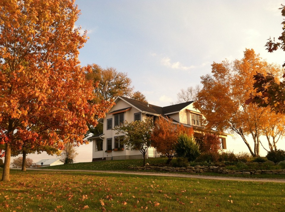 The Cheesemakers Inn photo