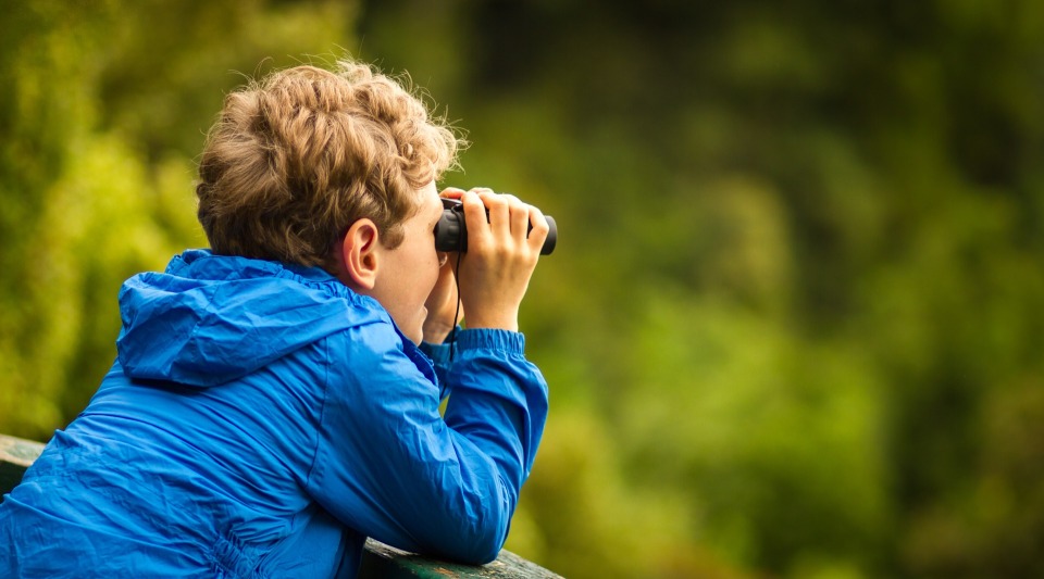 Bird Watching photo