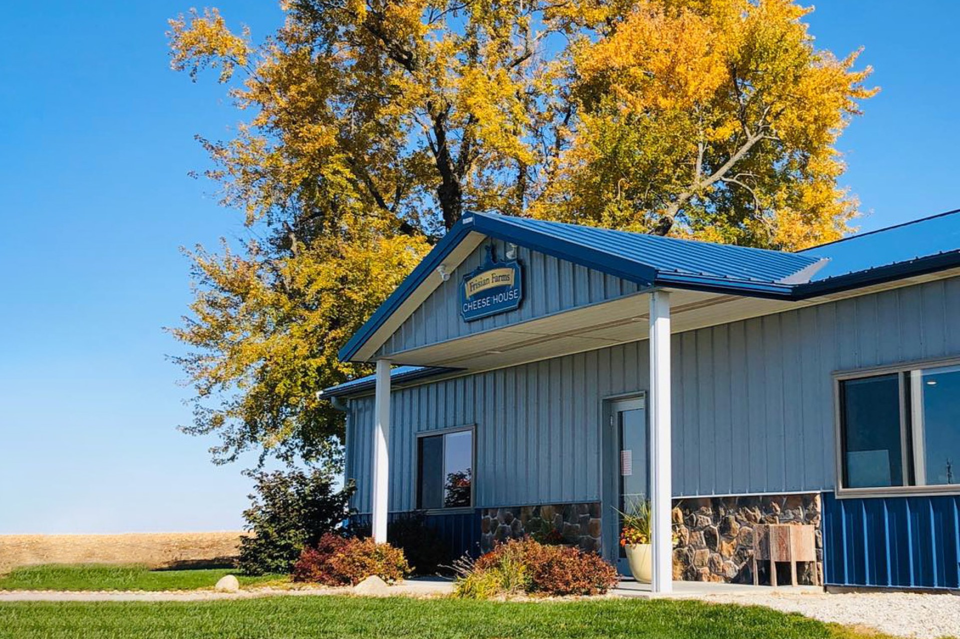 Frisian Farms Cheese House